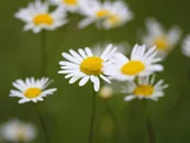 Glad sommar önskar vi på Byggbasen!