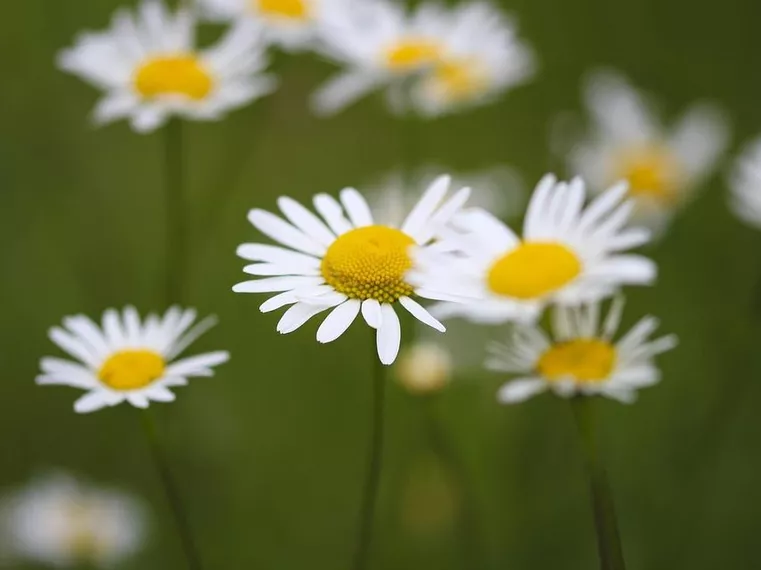 Glad sommar önskar vi på Byggbasen!
