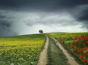 Midsommartrafiken i gång – Trafikverket uppmanar t...