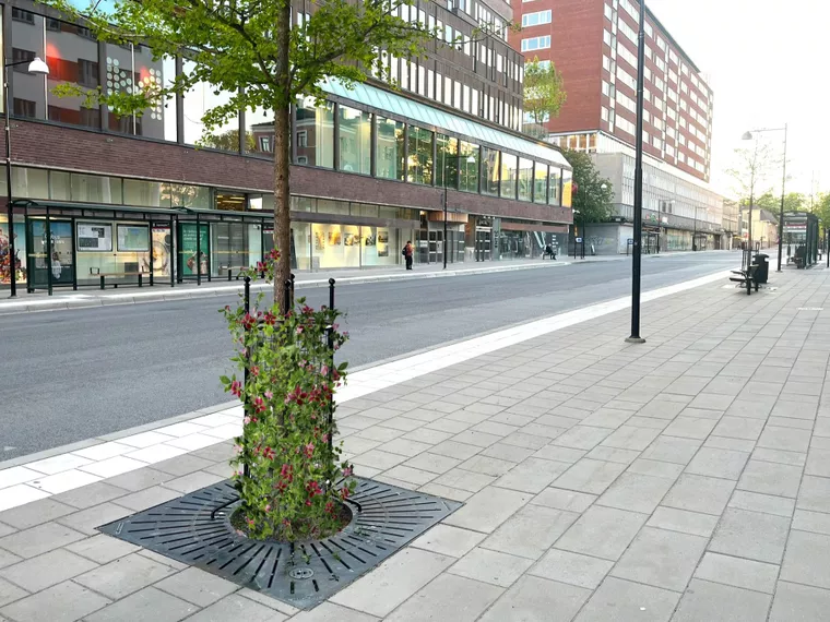 En&nbsp;blomstrande stadsmiljö