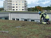Inbyggda tätskikt