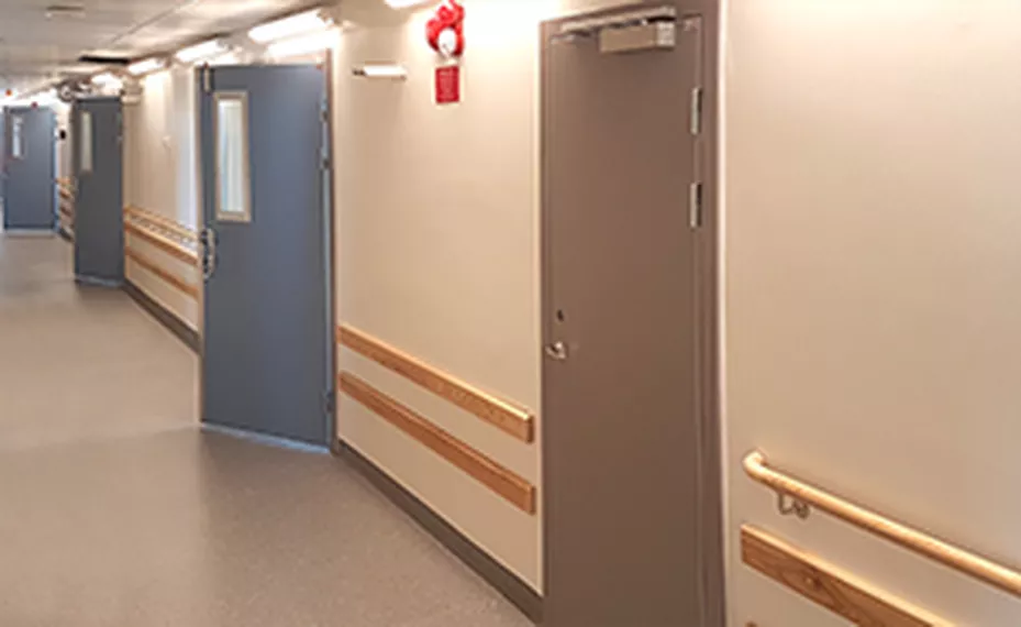 Multiresistenta bakterier - ett växande problem