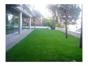 Gröna tak och sedumtak