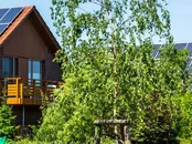 "Minskat stöd bromsar elektrifieringen"