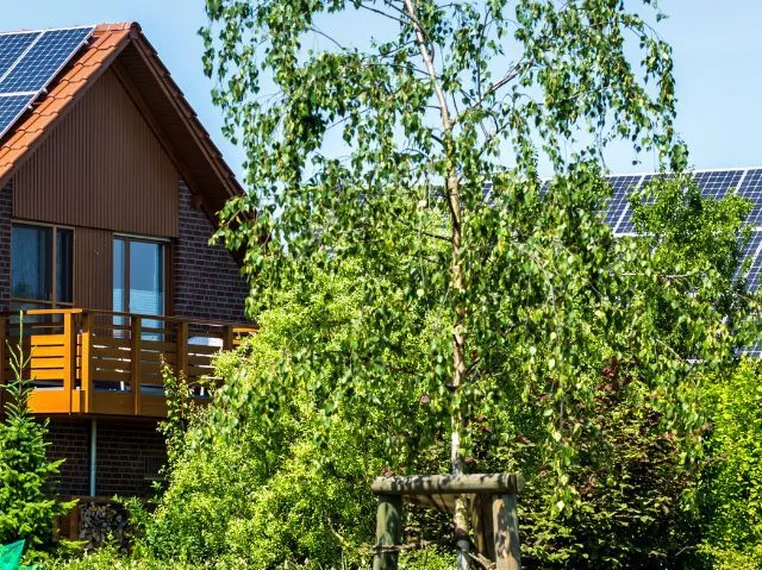 "Minskat stöd bromsar elektrifieringen"